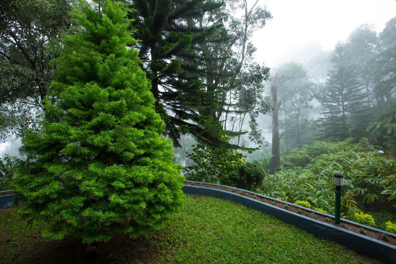 Bracknell Forest Munnar Exterior foto